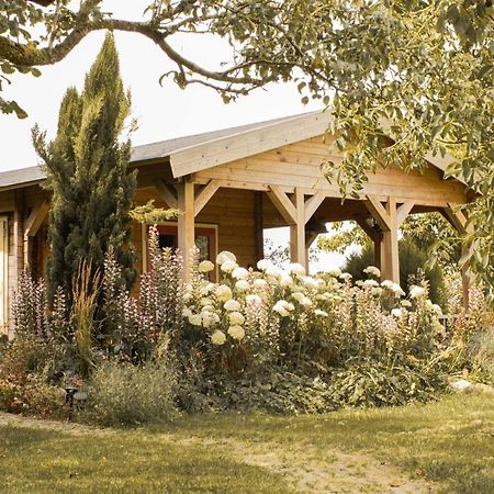 Chalet Ben In Broek Benningbroek Εξωτερικό φωτογραφία
