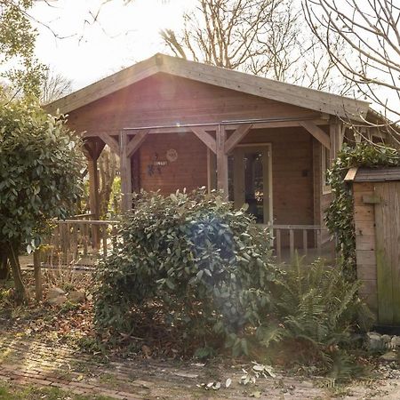 Chalet Ben In Broek Benningbroek Εξωτερικό φωτογραφία