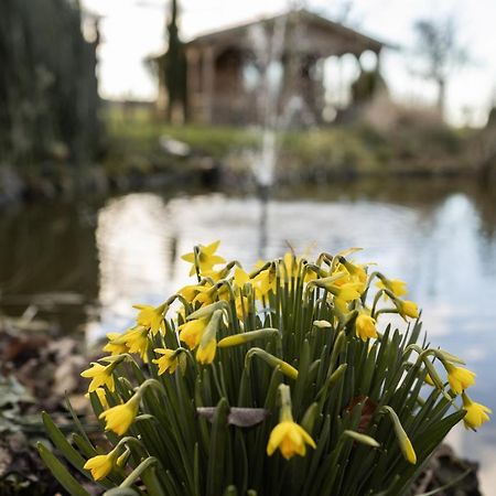 Chalet Ben In Broek Benningbroek Εξωτερικό φωτογραφία