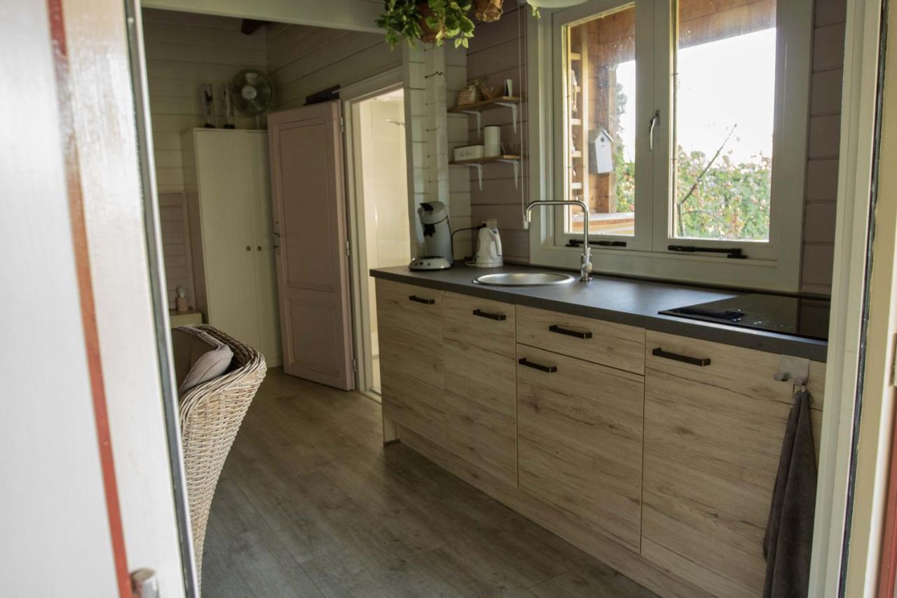 Chalet Ben In Broek Benningbroek Εξωτερικό φωτογραφία