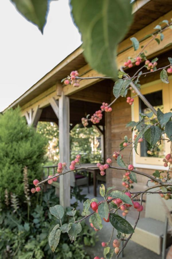 Chalet Ben In Broek Benningbroek Εξωτερικό φωτογραφία