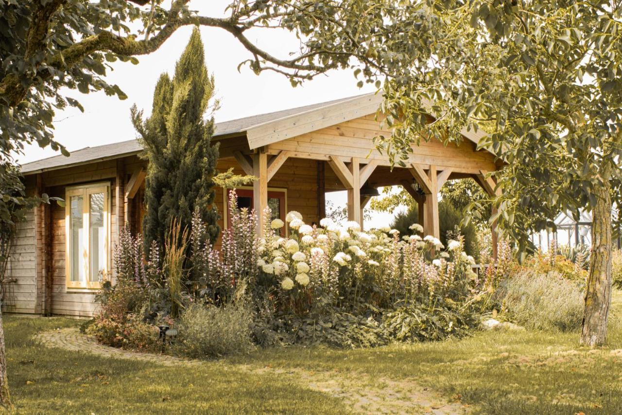 Chalet Ben In Broek Benningbroek Εξωτερικό φωτογραφία