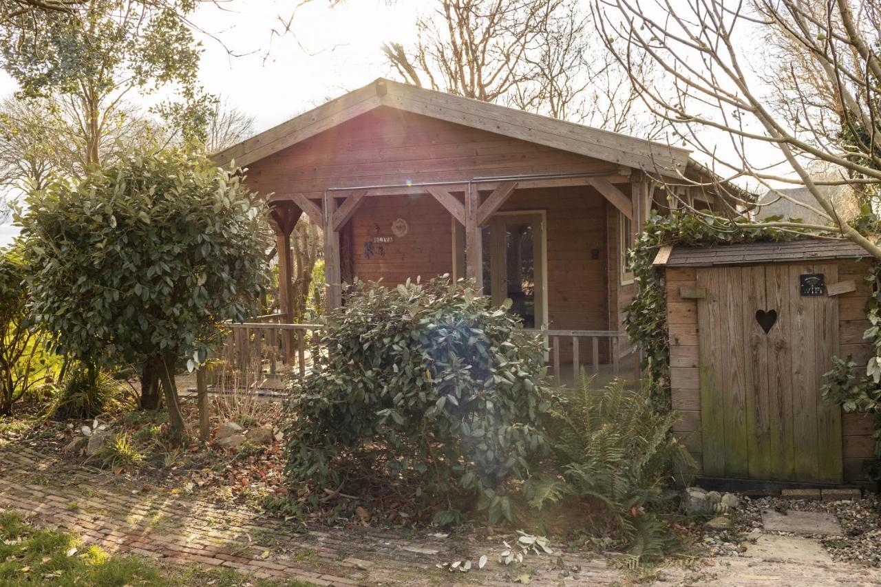 Chalet Ben In Broek Benningbroek Εξωτερικό φωτογραφία